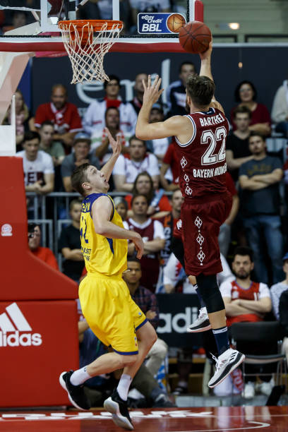 的未来奠定 的未来奠定